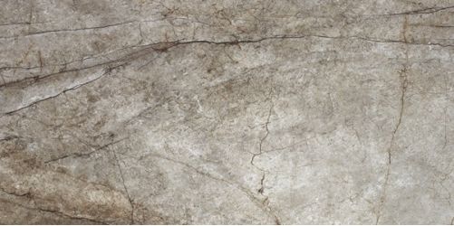 Rain Forest Natural Pulido 60x120