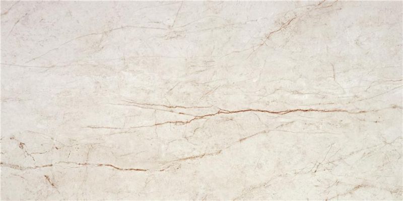 Rain Forest White Pulido Rect 59x119