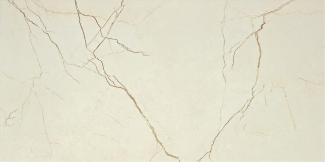 Rannia White 59*119