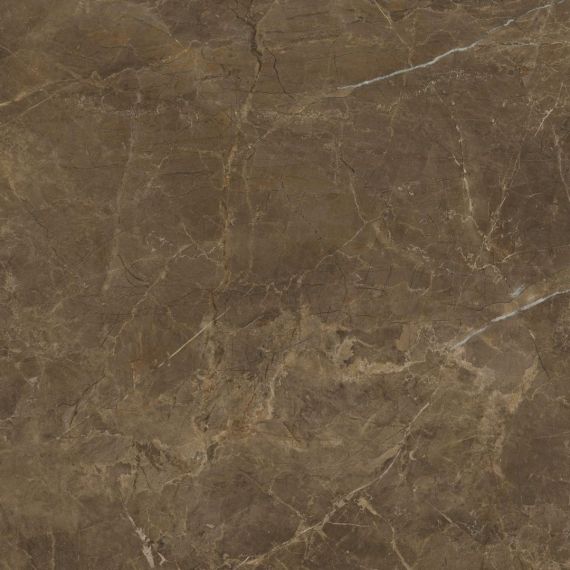 Rapid Brown 60x60