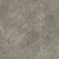 Rapid Grys 60x60