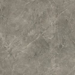 Rapid Grys 60x60