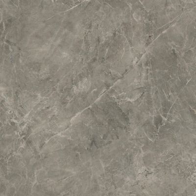 Rapid Grys 60x60