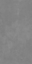 Raw Steel Grey Punch 60x120