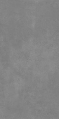 Raw Steel Grey Punch 60x120