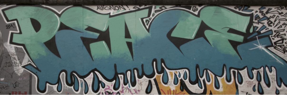 Recover Ornato 25.2x75.9