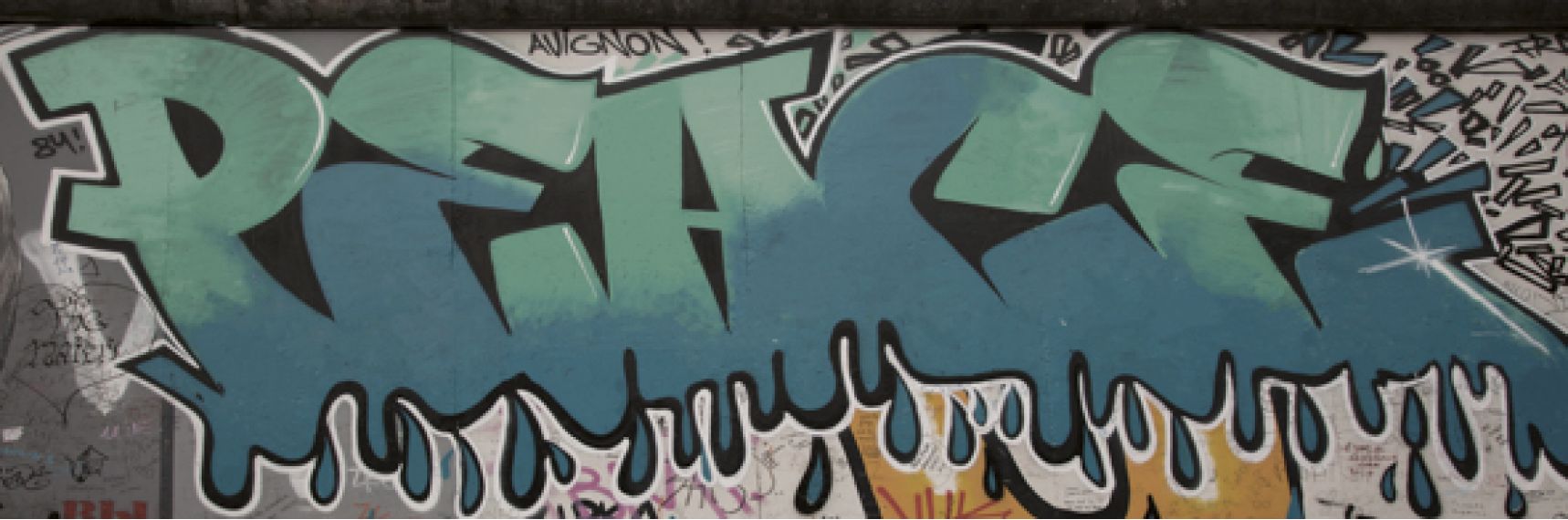 Recover Ornato 25.2x75.9