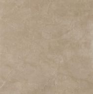 Reness Gold 60*60