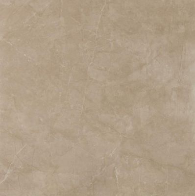 Reness Gold 60*60