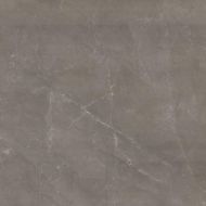 Reness Gris 60*60
