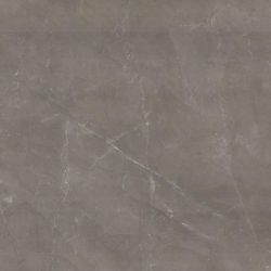 Reness Gris 60*60