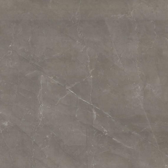 Reness Gris 60*60