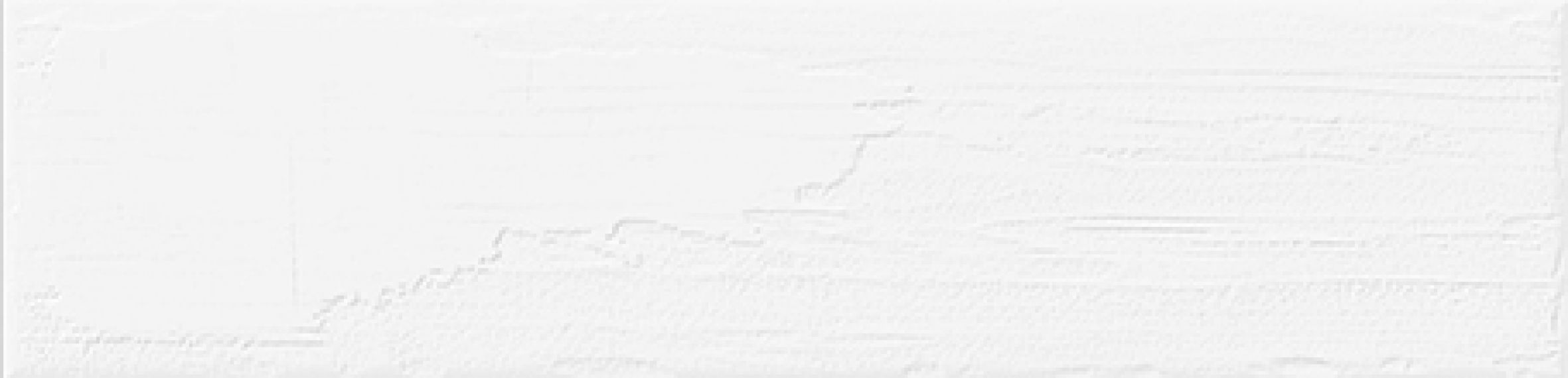 Rev. Bricktrend White 8.15x33.15