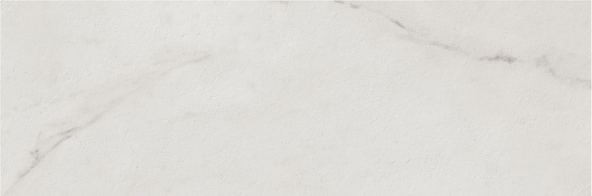 Rev. Calacatta silver R90 matt 30x90