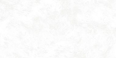 Riga White 30x60