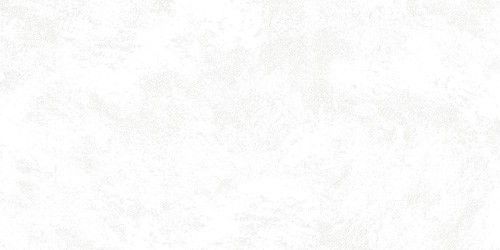 Riga White 30x60