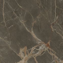 Riscal Brown Pulido 120x120
