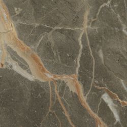 Riscal Pulido Brown 60*60