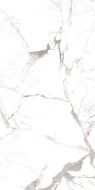 Riseonic Glossy 600x1200