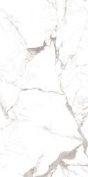 Riseonic Glossy 600x1200