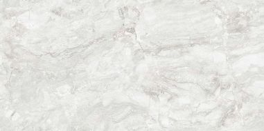 Rizi Silver Carving 60x120