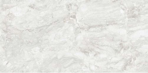Rizi Silver Carving 60x120
