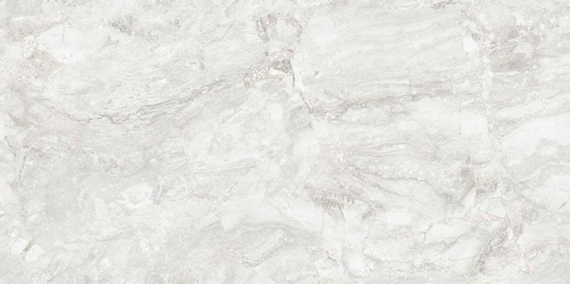 Rizi Silver Carving 60x120