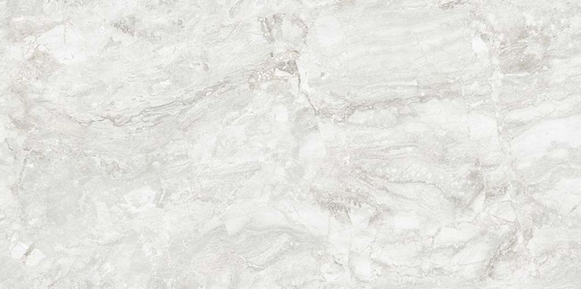 Rizi Silver Carving 60x120