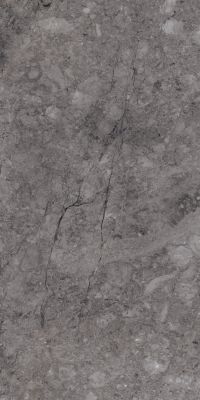 Rock William Grey Carving 80x160