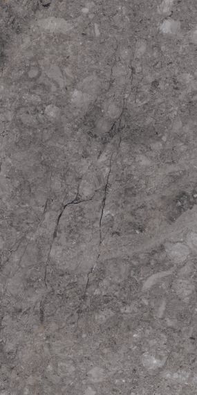 Rock William Grey Carving 80x160