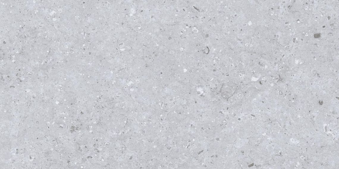 Rockberry Gris 30x60