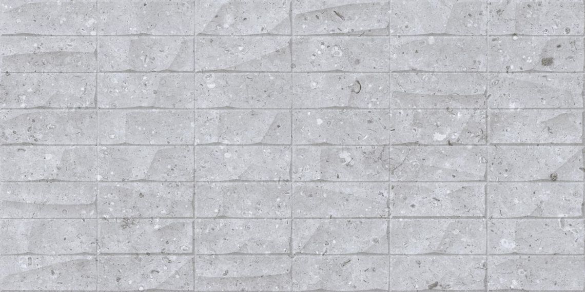 Rockberry Panch Gris 30x60