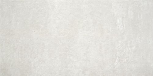 Rodano Light Grey MT Rect 60x120