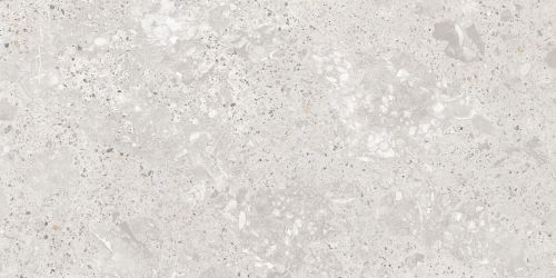 Roma Gris Carving Satin 60x120