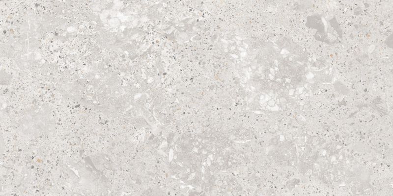 Roma Gris Carving Satin 60x120