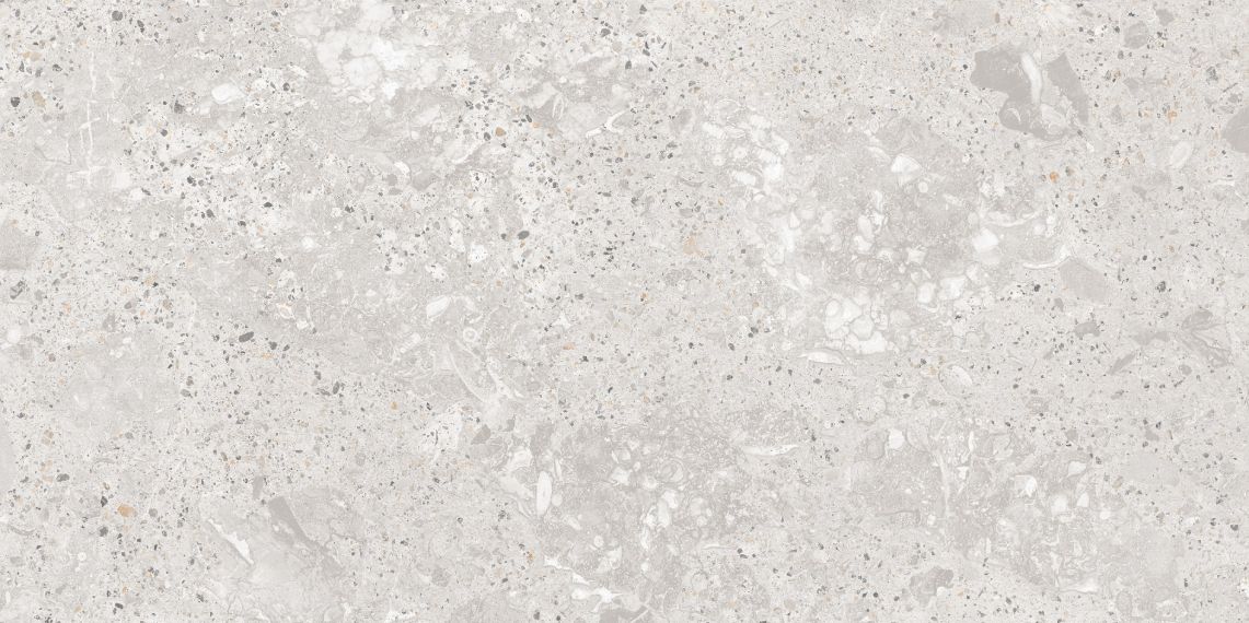 Roma Gris Carving Satin 60x120