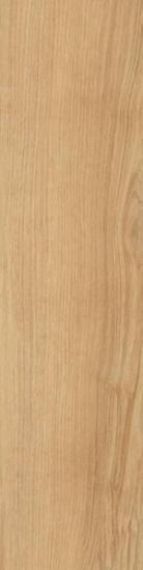 Rovere Naturale 10x40