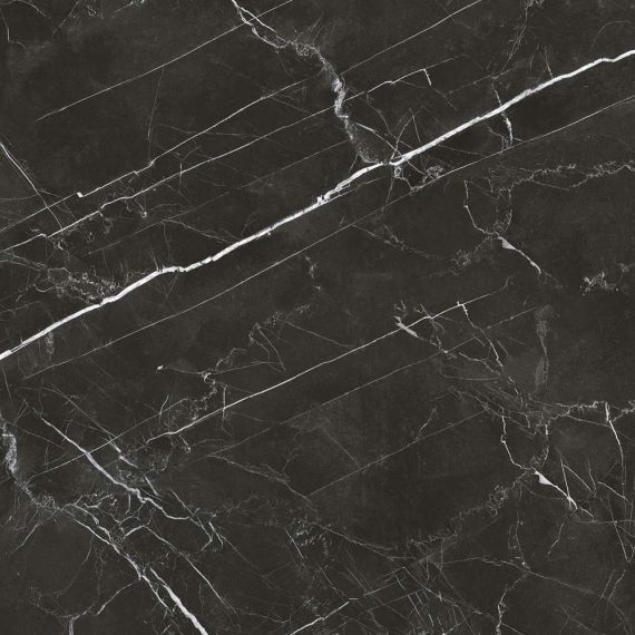 Royal Black 590x590