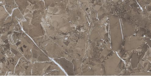 Royal Marble Brown 60x120