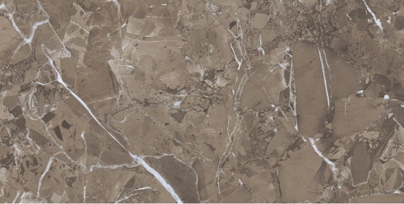 Royal Marble Brown 60x120