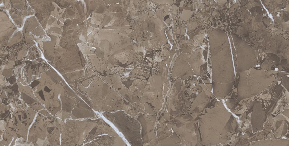 Royal Marble Brown 60x120