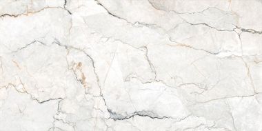 SAUVAGE Compacglass Pearl 60x120