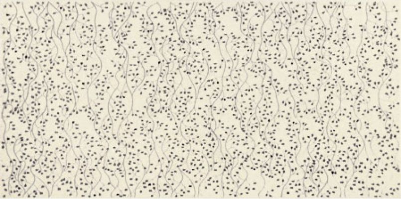 SENSITIVE Stone-2 22,3х44,8