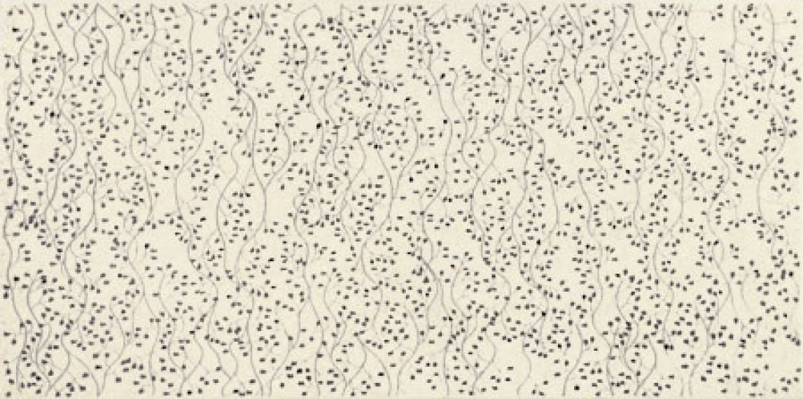 SENSITIVE Stone-2 22,3х44,8