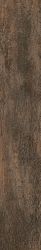 SG32 Honey NN 03 NAT 20x120