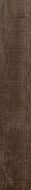SG33 Burnet NN 04 20x120
