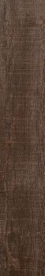 SG33 Burnet NN 04 20x120