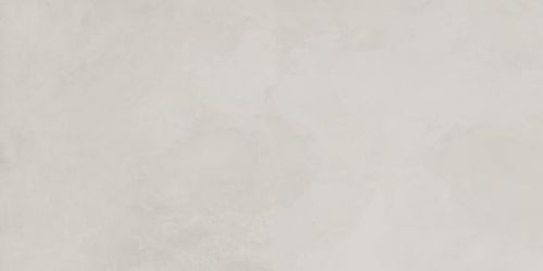 SG50001020R Evolution Blanco матовый 60x119,5