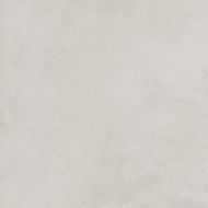 SG602520R Evolution Blanco матовый 60x60