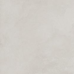SG602520R Evolution Blanco матовый 60x60